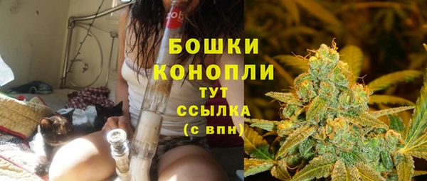 стаф Богородицк